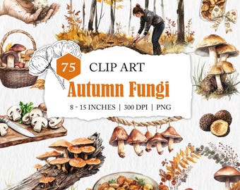 forest mushroom clip art, PNG file, mushroom clipart, watercolour mushroom clip art, commercial use, toadstool clipart, fungi clip art pack