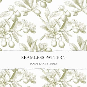 Könnte beinhalten: Ein nahtloses Musterdesign mit Olivenzweigen mit Oliven und Blumen in einem gedämpften Grünton, vor einem weißen Hintergrund. Der Text "SEAMLESS PATTERN" und "POPPY LANE STUDIO" wird auf einem zerrissenen Papierbanner angezeigt.