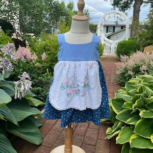 May include: A blue and white dress with a floral print and a white embroidered apron. The apron features a design of two ducks in a pond with pink flowers.