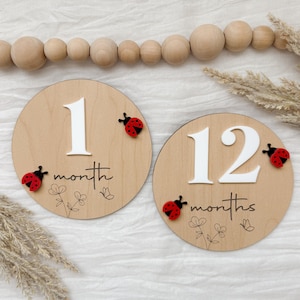 May include: Two wooden monthly milestone discs. One disc has the number 1 and the word "month" with a ladybug and floral design. The other disc has the number 12 and the word "months" with a ladybug and floral design.