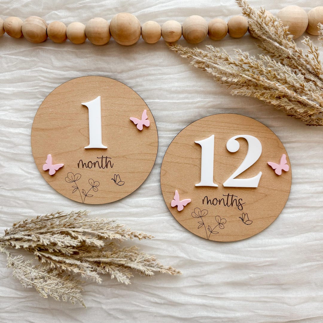 Butterfly Milestone Set, Baby Milestone Set, Monthly Milestone Set ...