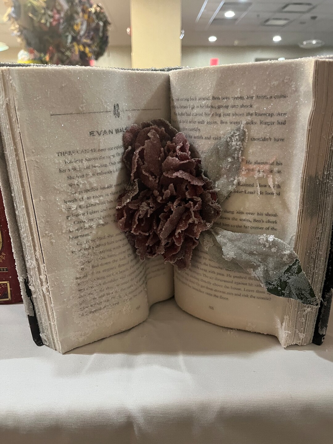 Crystallized Book the Last Star 5th Wave Series Etsy