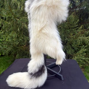 Fox Fur Mountain Man Hat - Full Cape, Beautiful, Unique, Warm, Authentic Fur