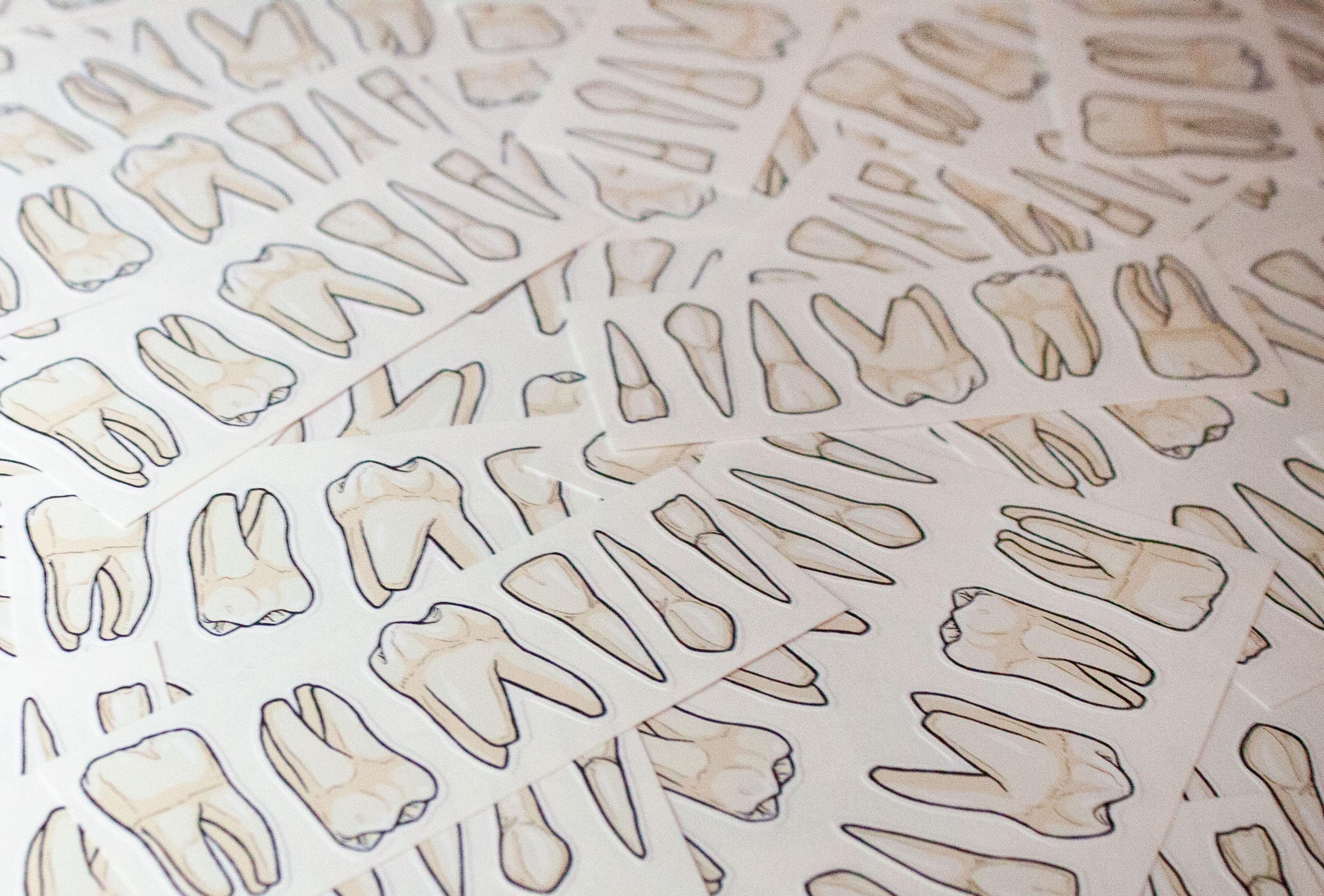 Natural Tooth Sticker Teeth Vinyl Sticker Sheet (6 Stickers!) | Vinyl Decals for Laptop, Cars ...