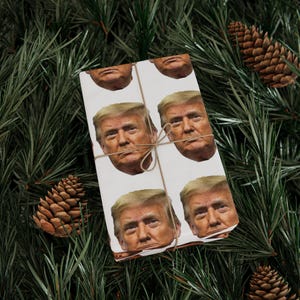 Birthday Father's Day Wrapping Papers, Holiday Gift Wrap, Trump Gag Funny Paper, White Elephant Gifts, Men Gifts for Him Her image 6