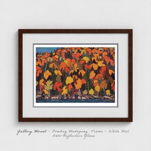 Tom Thomson - Autumn Foliage | Group of Seven Art | Canadian Fall Colours | Algonquin Autumn Heritage