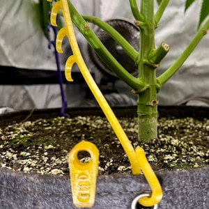 May include: A yellow plastic plant training tool with a curved, notched arm and a base anchor attached to the rim of a grey fabric pot. The tool is positioned to guide the growth of a green plant stem, with a small circular opening in the base.