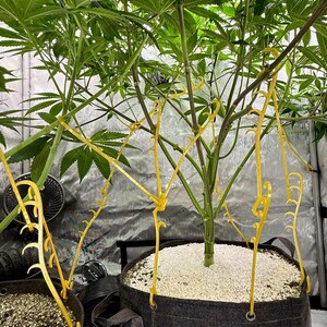 HempHooks — Fabric Pot LST Device 9" + 6"| Grommet Anchor Hook | Patent Pending image 4