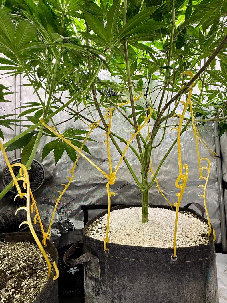 HempHooks — Fabric Pot LST Device 9" + 6"| Grommet Anchor Hook | Patent Pending image 4