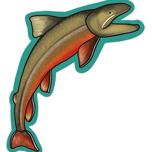 Sticker poisson