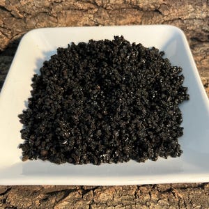 Live Sand - Hawaiian Black Sand (Foraging for Hermit Crabs)