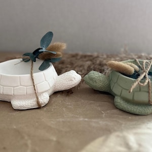 Könnte beinhalten: Zwei schildkrötenförmige Pflanzgefäße, eines weiß und eines grün, mit getrockneten Blumen und Grünpflanzen darin.