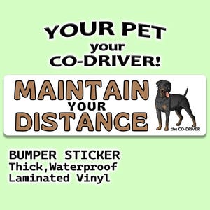 Rottweiler "Maintain Your Distance" humoristische autobumpersticker met huisdier "The Co-Driver"