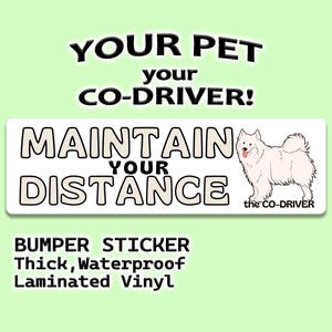 Spitz "Maintain Your Distance" humoristische autobumpersticker met hond huisdier "The Co-Driver"