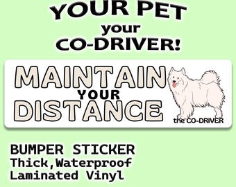 Spitz "Maintain Your Distance" Humorous Car Bumper Sticker with dog Pet "The Co-Driver"
