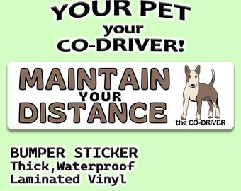 Bull Terrier "Maintain Your Distance" Humorous Car Bumper Sticker with Pet "The Co-Driver"