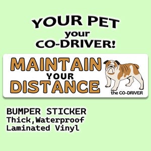 Engelse bulldog humoristische autobumpersticker "Maintain Your Distance" met huisdier "The Co-Driver"