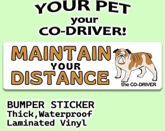 English Bulldog  "Maintain Your Distance" Humorous Car Bumper Sticker with Pet "The Co-Driver"