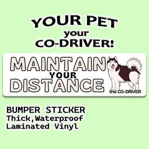 Husky humoristische autobumpersticker "Maintain Your Distance" met huisdier "The Co-Driver"