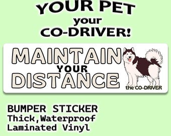 Husky "Maintain Your Distance" Humorous Car Bumper Sticker with Pet "The Co-Driver"
