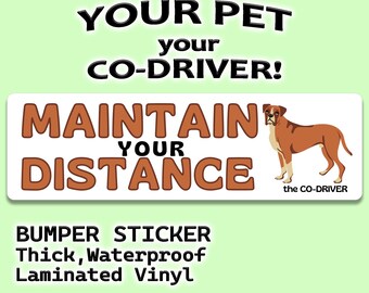 Boxer "Maintain Your Distance" Humorous Car Bumper Sticker with dog Pet "The Co-Driver"