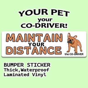 Franse bulldog "Maintain Your Distance" humoristische autobumpersticker met huisdier "The Co-Driver"