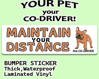 French Bulldog "Maintain Your Distance" Humorous Car Bumper Sticker with Pet "The Co-Driver"