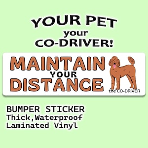Poedel (Caniche) "Maintain Your Distance" humoristische autobumpersticker met huisdier "The Co-Driver"