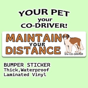 Sint-bernard "Maintain Your Distance" humoristische autobumpersticker met huisdier "The Co-Driver"