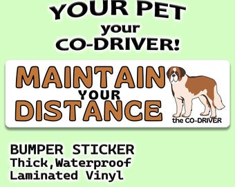 Saint Bernard "Maintain Your Distance" Humorous Car Bumper Sticker with Pet "The Co-Driver"