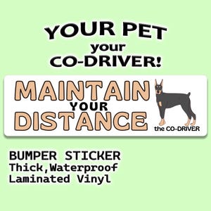 Dobermann humoristische autobumpersticker "Maintain Your Distance" met huisdier "The Co-Driver"