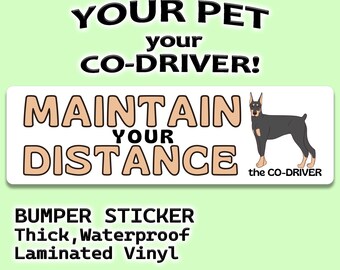 Doberman "Maintain Your Distance" Humorous Car Bumper Sticker with Pet "The Co-Driver"