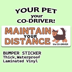 Yorkshire Terrier bruin humoristische autobumpersticker "Maintain Your Distance" met huisdier "The Co-Driver"