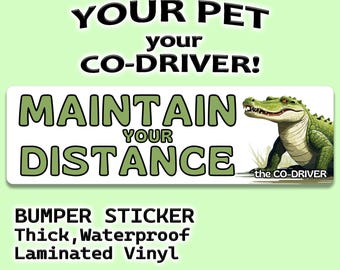 Alligator "Maintain Your Distance" Humorous Car Bumper Sticker with Alligator Pet as  "The Co-Driver"