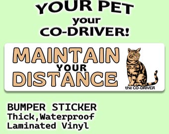 Maintain Distance Cat Bumper Sticker, Funny Pet Co-Driver Stray Cat