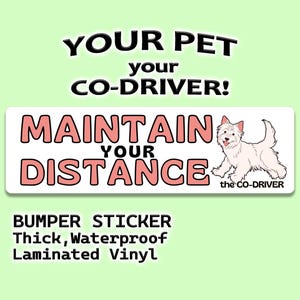 Yorkshire Terrier Witroze "Maintain Your Distance" Humoristische autobumpersticker met huisdier "The Co-Driver"