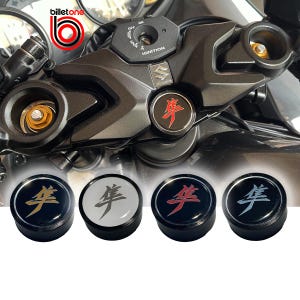 Suzuki GSX 1300R Hayabusa Gen 3 2021+ steering stem yoke nut plug cover with logo badge by Billet One