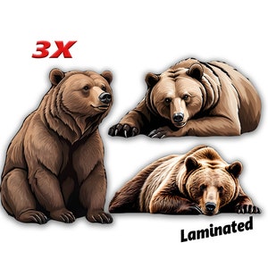 Adesivo orso grizzly sdraiato Adesivo laminato Adesivo orsi seduti Adesivo moto Auto Scooter Computer portatile Decorazione vintage Copertina libro barca Motoslitta