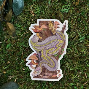 sticker for water bottle hydroflask Stanley laptop ball python sticker mossy tree mushroom sticker reptile art snake decor
