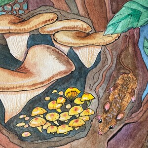 Zielony pyton drzewny: ORYGINAŁ zdjęcie 4