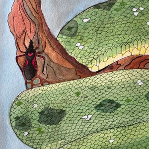 Zielony pyton drzewny: ORYGINAŁ zdjęcie 5