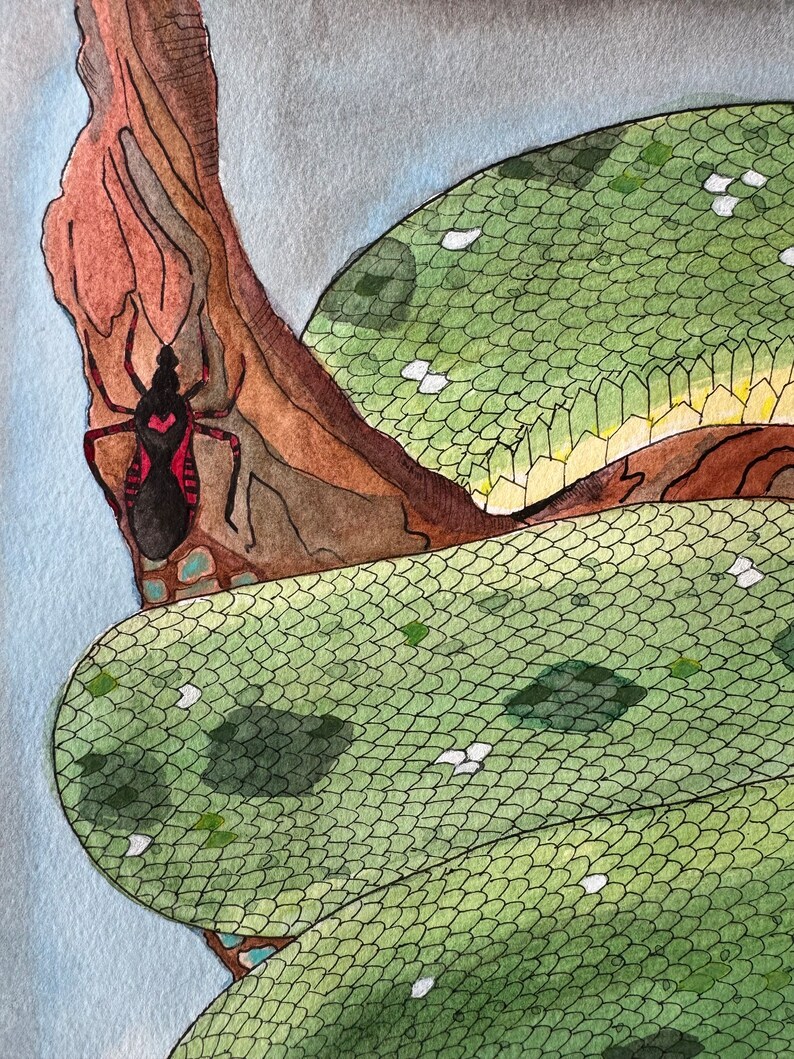 Green Tree Python: ORIGINAL - Etsy