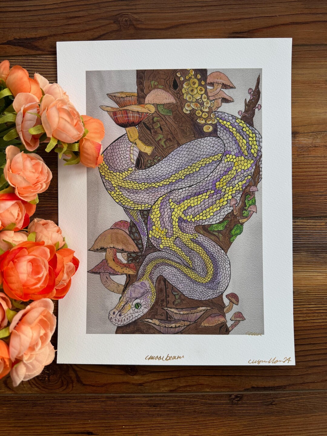 Moonbeam: MINI Print Ball Python Fine Art - Etsy