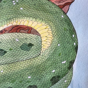 Zielony pyton drzewny: ORYGINAŁ zdjęcie 7