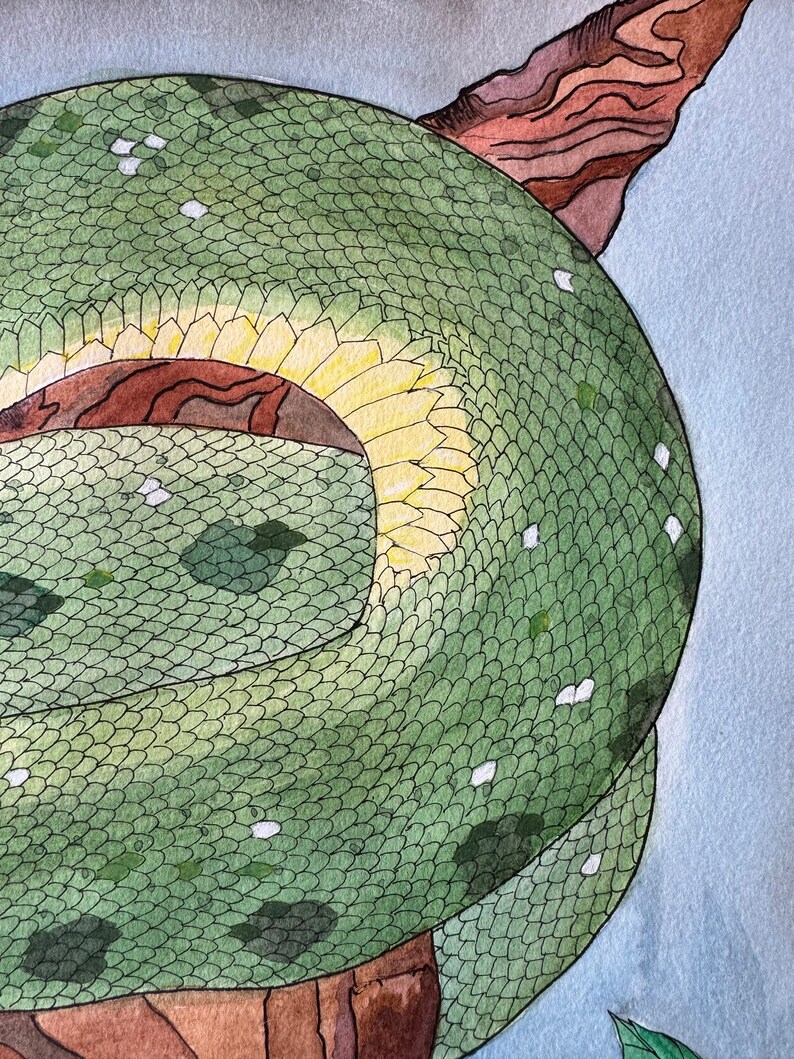 Green Tree Python: ORIGINAL - Etsy