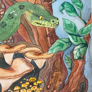 Zielony pyton drzewny: ORYGINAŁ zdjęcie 3