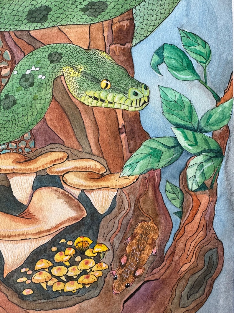 Zielony pyton drzewny: ORYGINAŁ zdjęcie 3