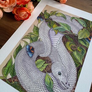 White ball python: print image 2