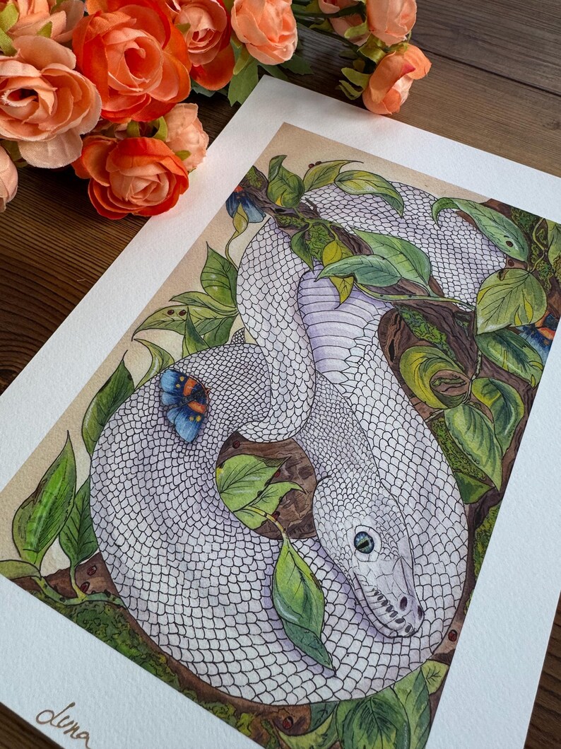 White ball python: print image 2