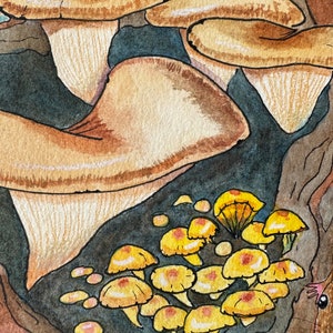 Zielony pyton drzewny: ORYGINAŁ zdjęcie 6